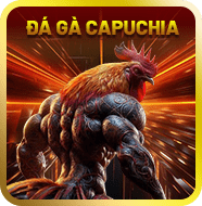 Sảnh đá gà Campuchia