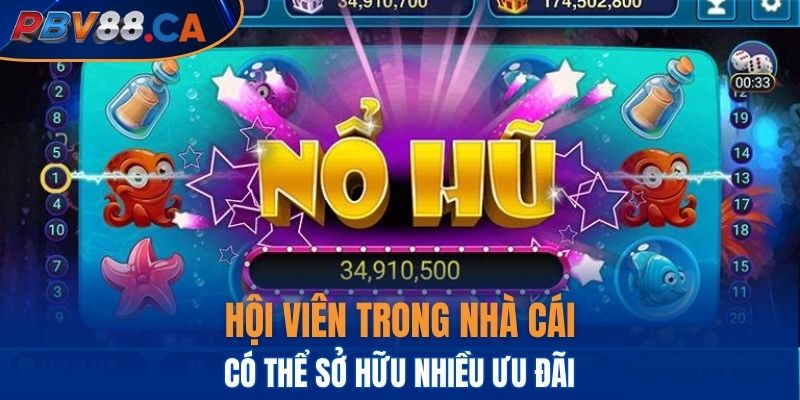 Hội viên trong nhà cái có thể sở hữu nhiều ưu đãi