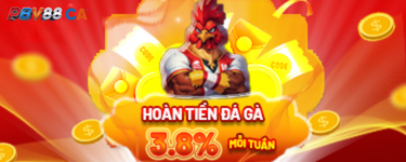 banner khuyến mãi PBV88 1