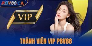 Thành viên VIP PBV88